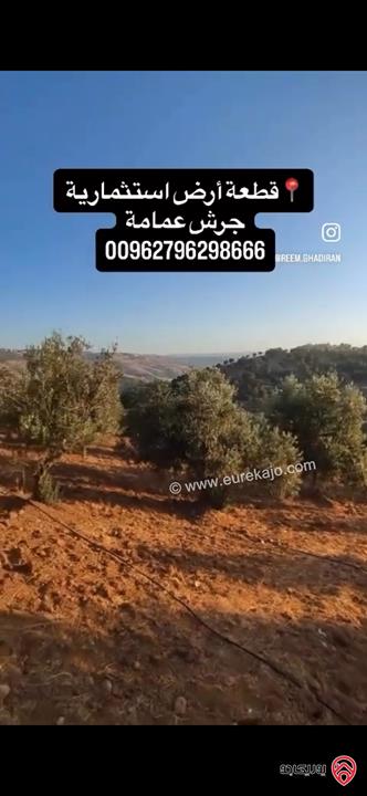 قطعة أرض استثمارية مساحة 10 دونم منتجة للبيع من اراضي جرش عمامة 