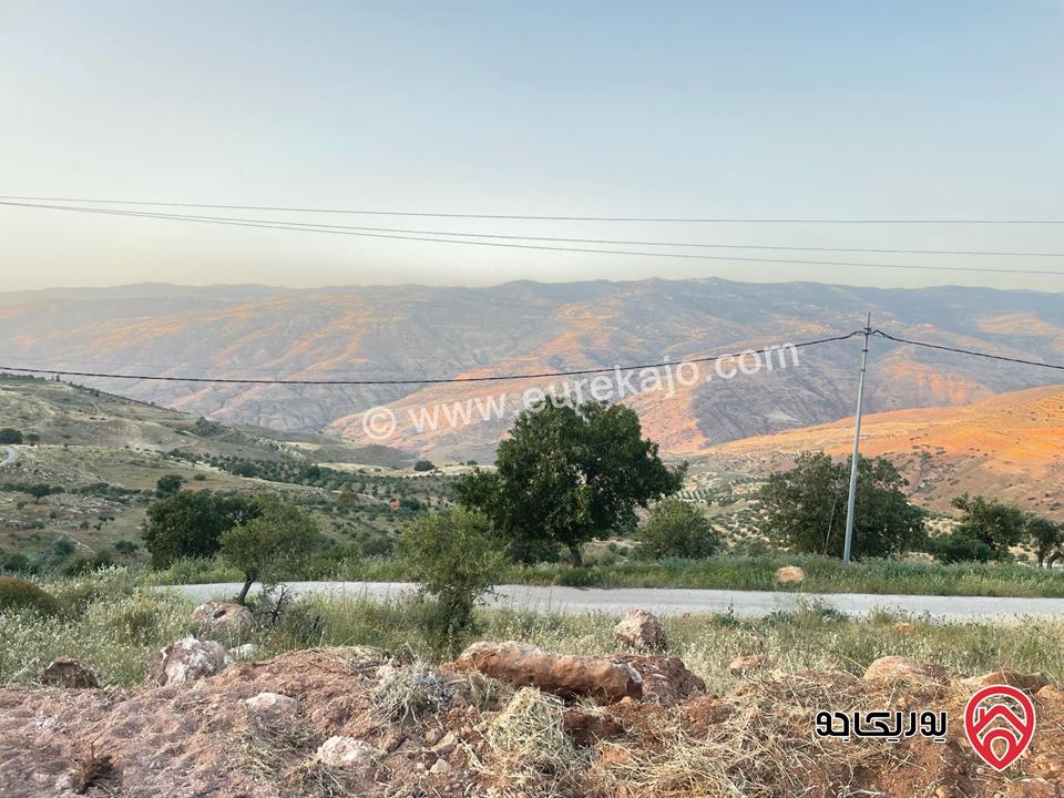 قطعة أرض مساحة 2 دونم و 230م للبيع في السلط - الصبيحي 