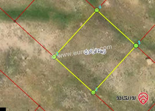 ارض 632م للبيع في اربد - من اراضي زبدة ضمن حوض الظهر مميزة محاطة بالفلل 