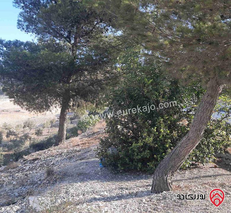ارض مساحة 22 دونم للبيع في جرش النبي هود قرب كلية جرش التطبيقية الجديدة على حد التنظيم 