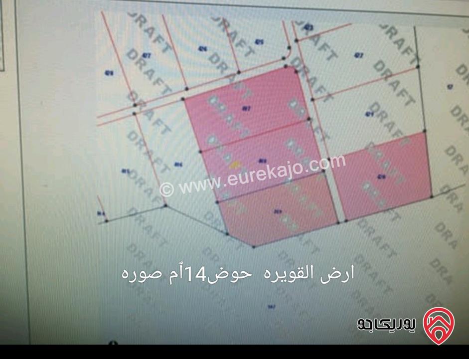 اراضي بمساحات مختلفة للبيع في العقبة القويره - الحسينيه - الشوبك