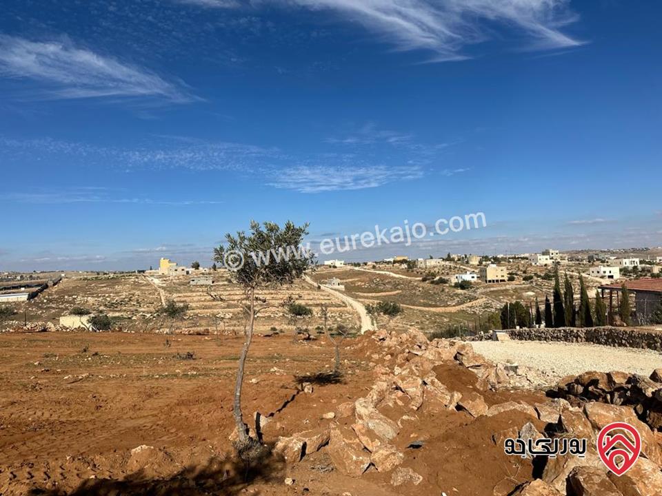 قطعة ارض مساحة 9 دونم للبيع في منطقة مادبا - لب