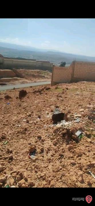 قطعة أرض مميزة جدا مساحة 288م للبيع في البحر الميت - الروضة منطقة شاليهات