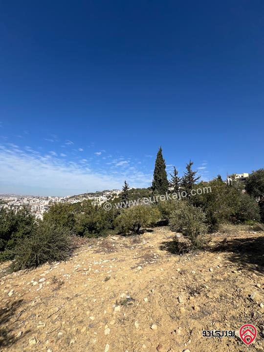 قطعة ارض مساحة 1 دونم للبيع في عمان الغربيه ماحص (بدر الجديده)