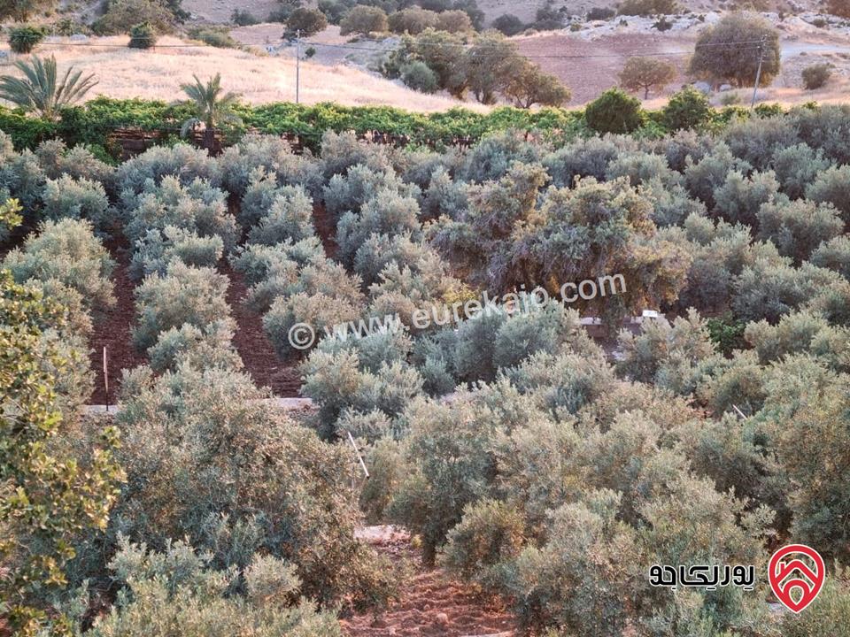 قطعة ارض مساحة 4 دونم للبيع في ماحص مطلة على جبال السلط وجبال فلسطين
