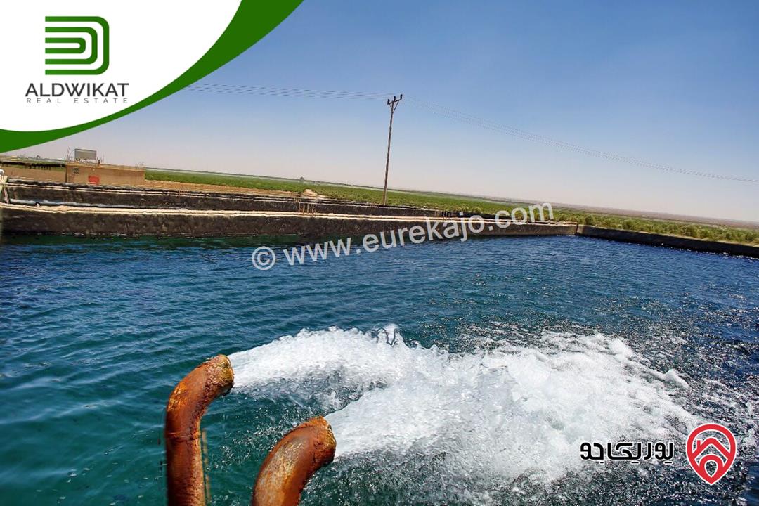 مزرعة للبيع في الازرق مساحة الارض 600 دونم فيها بئر ماء مرخص