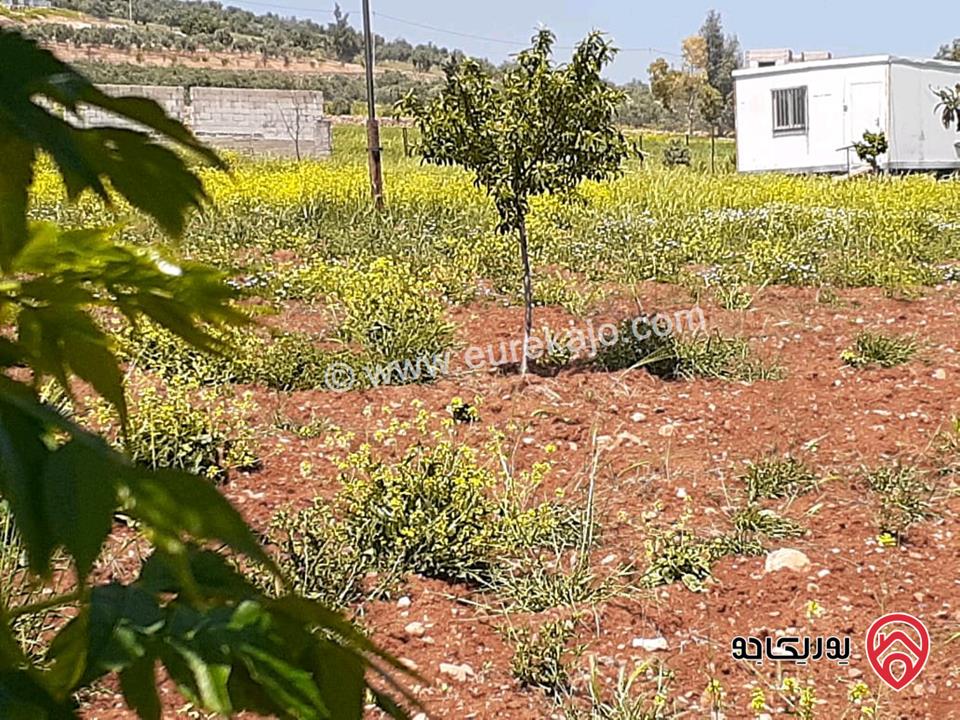 مزرعة نظام شاليه مساحة الأرض 7 دونم والبناء 140م للبيع في المفرق حمامه العموش 