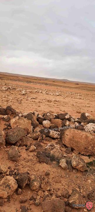 أرض زراعية مساحة 30 دونم للبيع في المفرق أراضي البادية الشمالية - نايفه