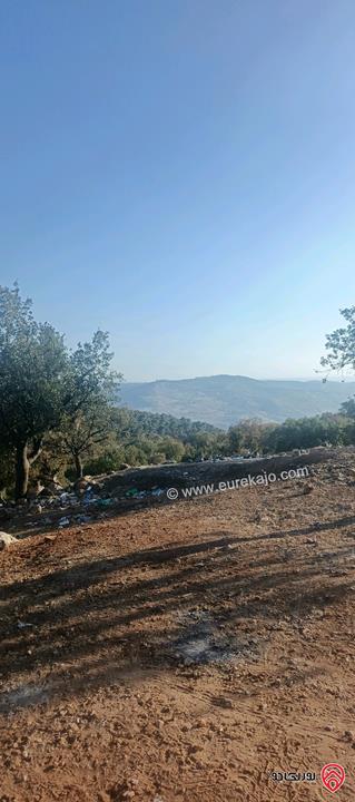 أرض مساحة 650متر للبيع في عمان - ابو السوس أسكان المهندسين