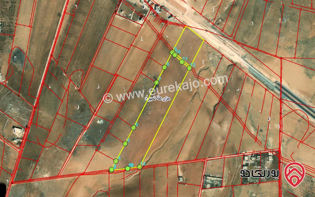 قطعة ارض مساحة 37 دونم للبيع في اربد - من اراضي مزرعة تميرا 