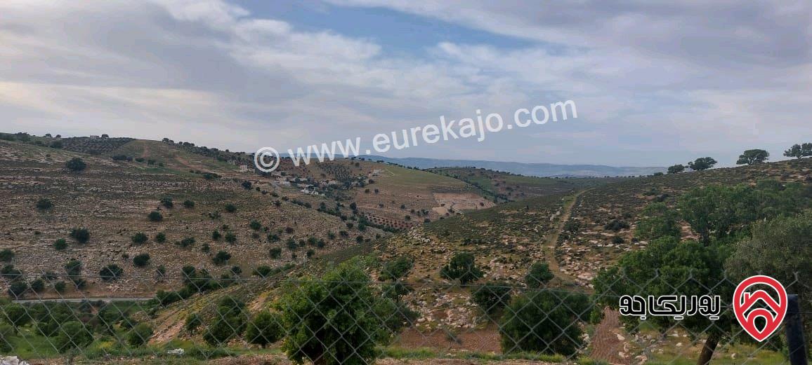 مزرعة مساحة الأرض 3 دونم و 400م للبيع في الزرقاء - صروت 