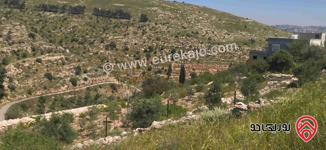 ارض مساحة 4 دونم و 332م للبيع في السلط المزود 