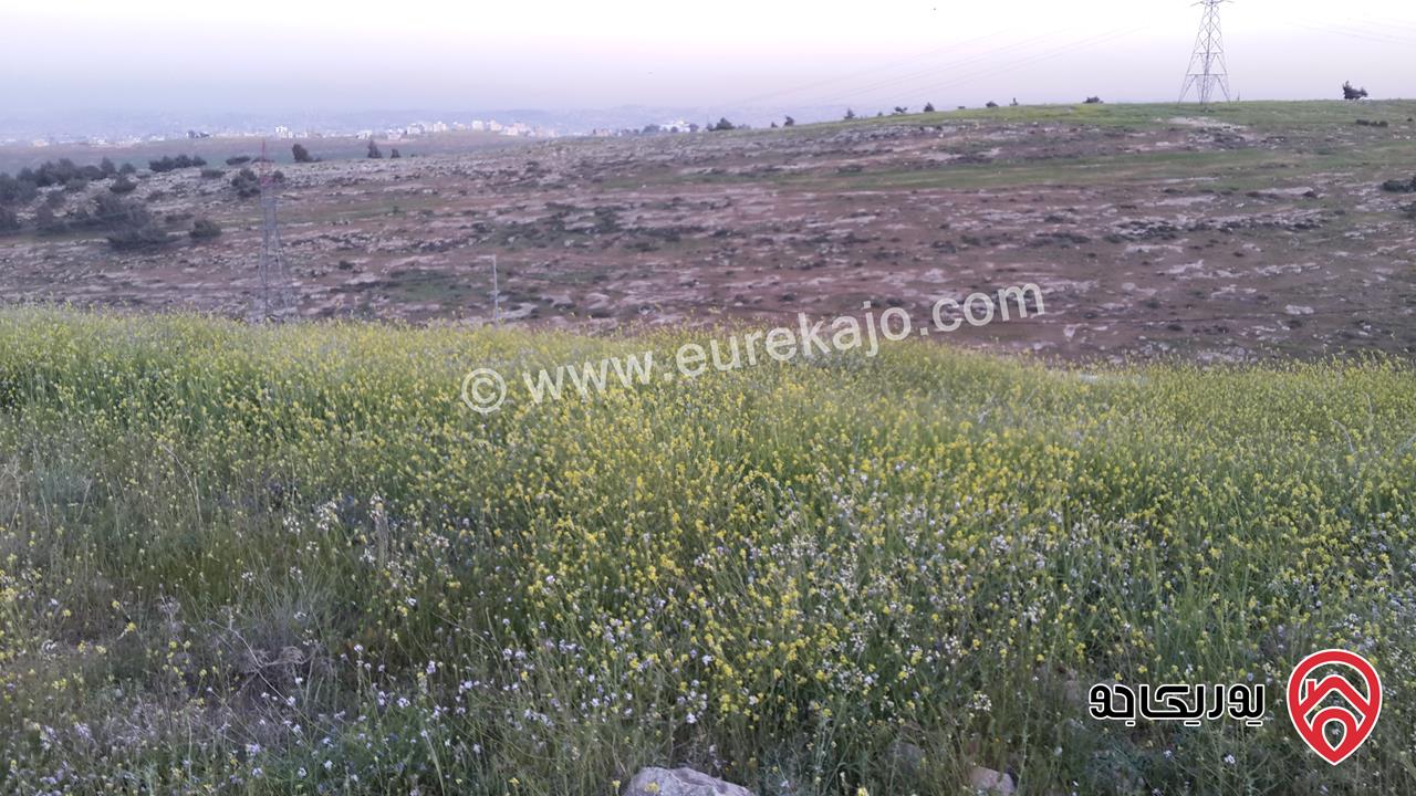 أرض مساحة 608م للبيع في عمان - شفا بدران من المالك مباشرة 