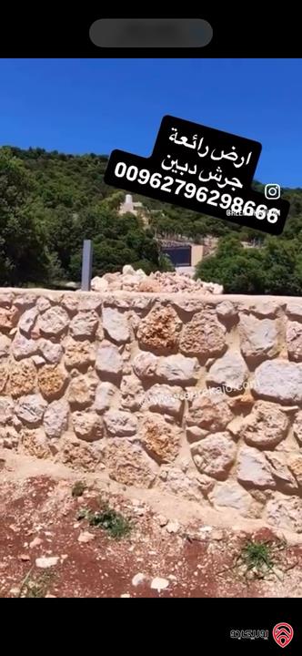 قطعة ارض مميزة مساحة 1 دونم للبيع في جرش - دبين