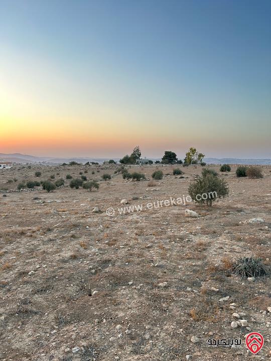 قطعة أرض مساحة 6 دونم للبيع من أراضي جنوب عمان - دليلة الحمايده