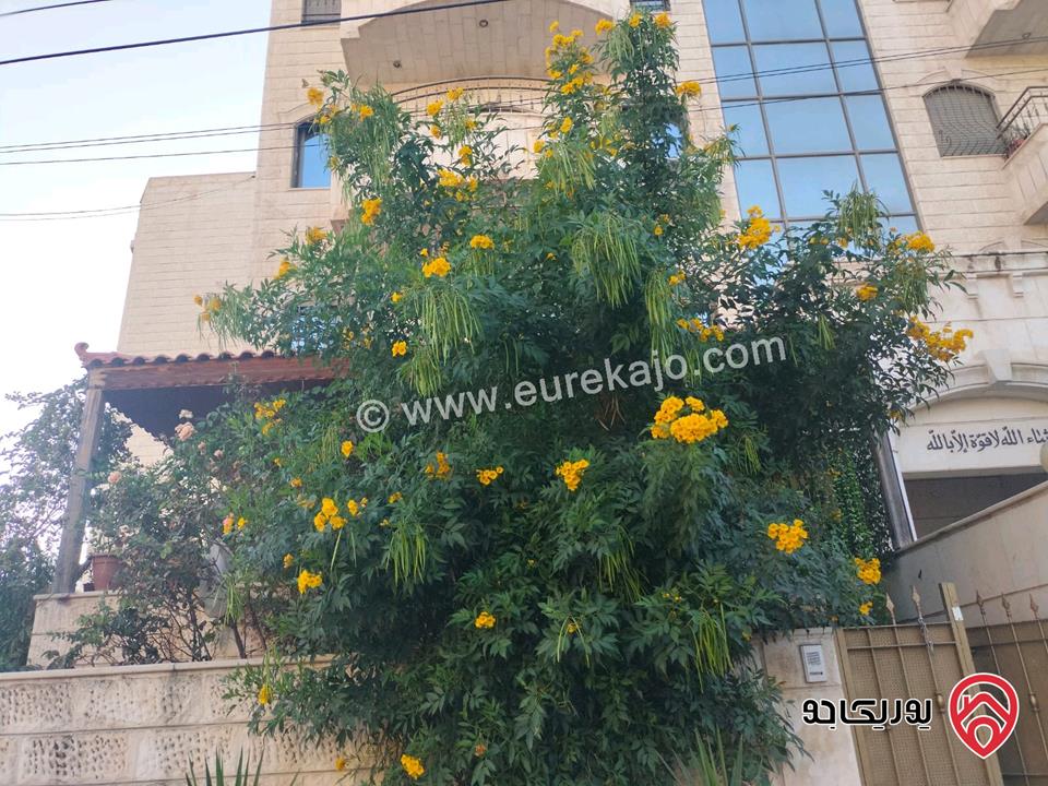 شقة أرضية مساحة 172م داخلي و 30م خارجي للبيع في عمان - طبربور 