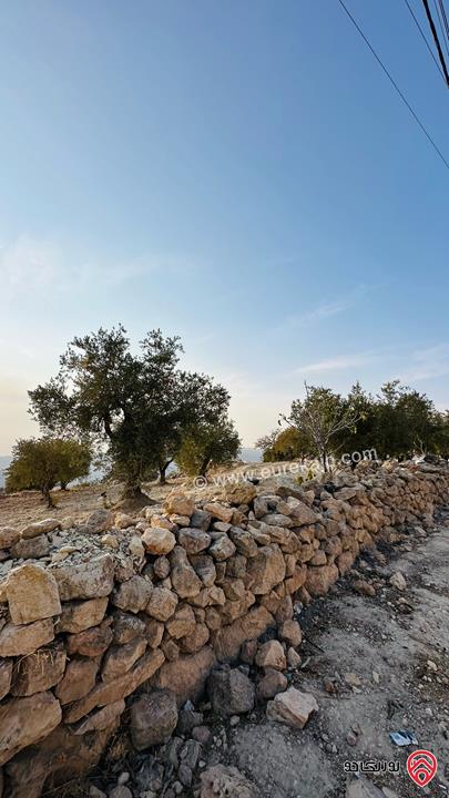 قطعة ارض مساحة 5 دونم و 856م للبيع في منطقة ماحص البلقاء منطقة قصور وفلل بجانب قصر الامير حسين ميرزا اطلالة غربية من المالك مباشرة 
