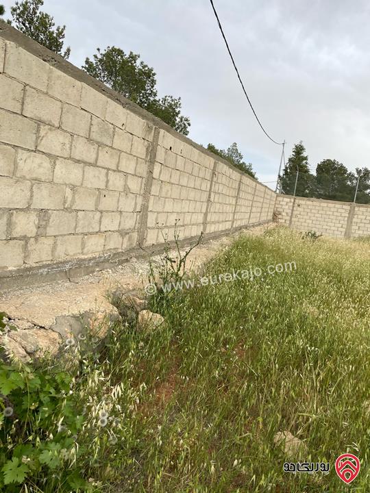 قطعة أرض مميزة مساحة 5 دونم للبيع في عمان - ناعور المشقر