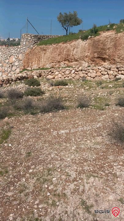 أرض مساحة 750م للبيع في عمان - ناعور