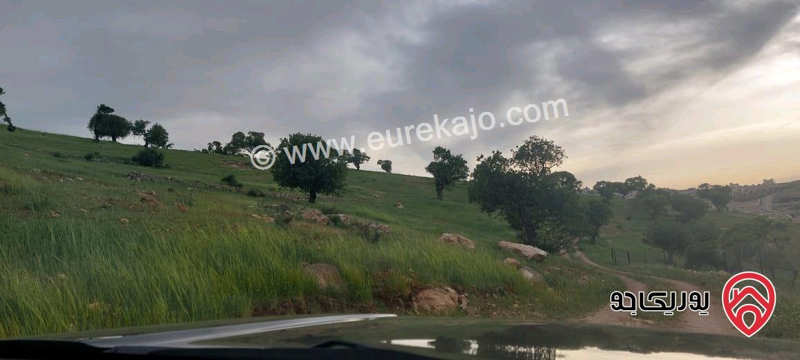 مزرعة مساحة الأرض 3 دونم و 400م للبيع في الزرقاء - صروت 