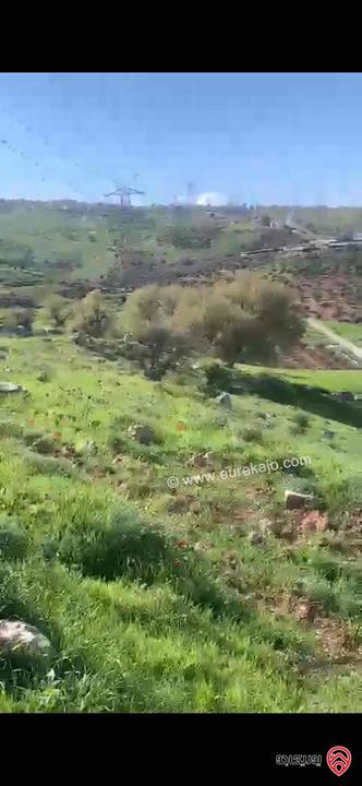 قطعة أرض مساحة 11 دونم و 600م للبيع في جرش يمكن فرزها لأربع قطع 
