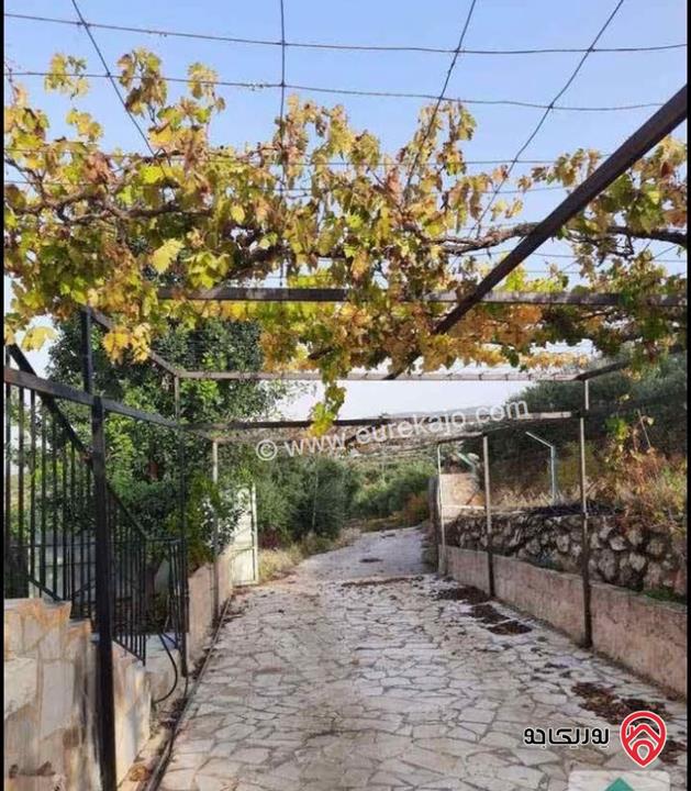 مزرعة زيتون مساحة الأرض 8 دونم و 588م و البناء مساحة 100م للبيع في السلط