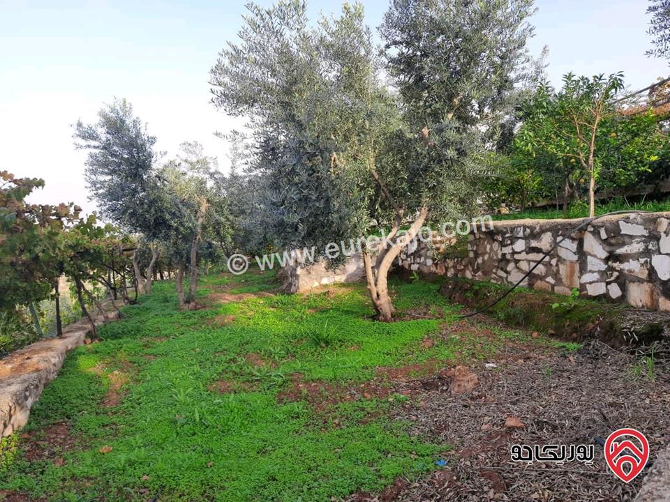 مزرعة زيتون مساحة الأرض 8 دونم و 300م و البناء مساحة 100م للبيع في السلط