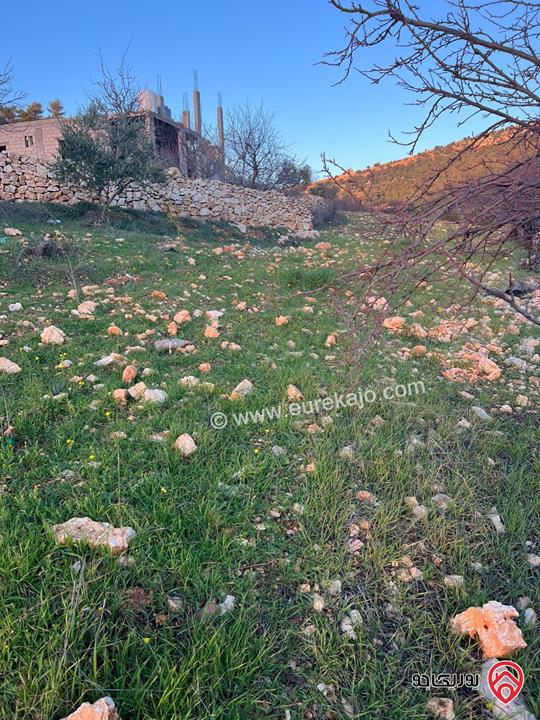 ارض مساحة 1 دونم و 982م للبيع في عجلون عنجرة سرابيس
