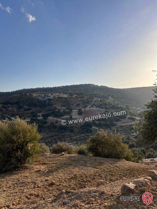 مزرعة مساحة الأرض 6 دونم و 500م للبيع في جرش منطقة جمله قريبة من محمية دبين اطلاله جميلة جداً وسعر حرق وربنا يبارك لصاحب النصيب