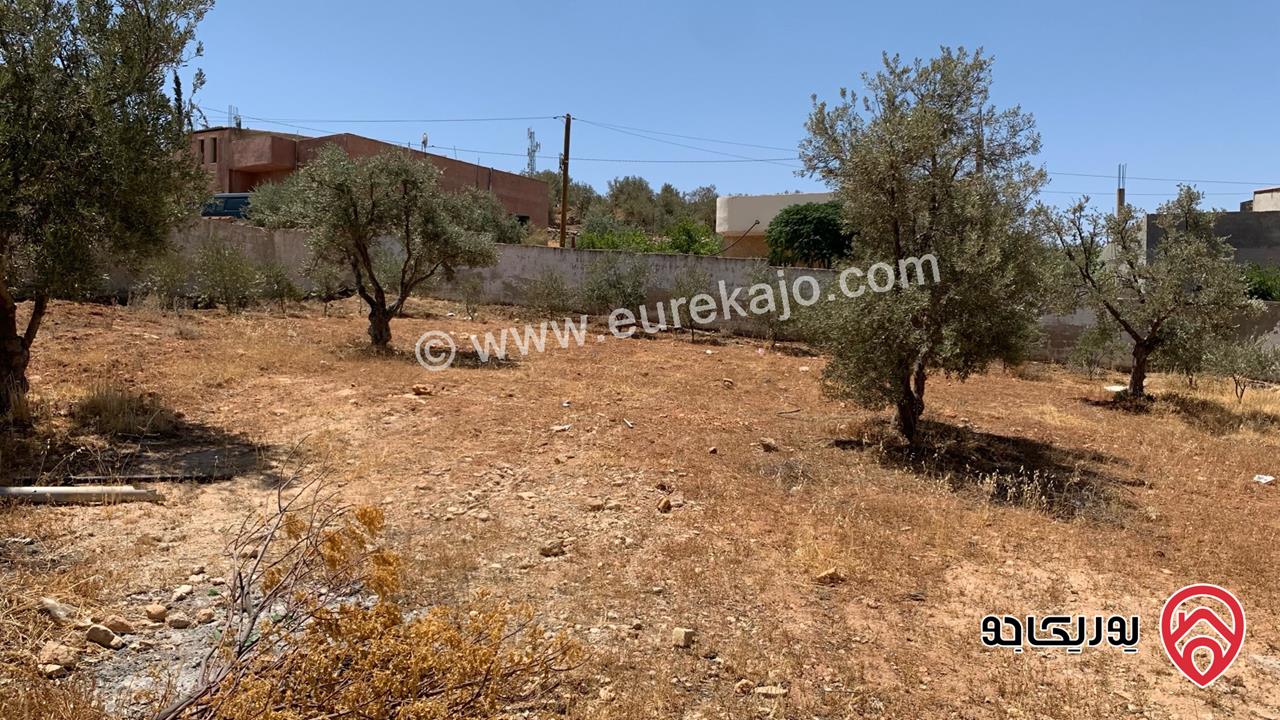 مزرعة مساحة الأرض 2 دونم للبيع بدون منزل في جرش حي الجبارات