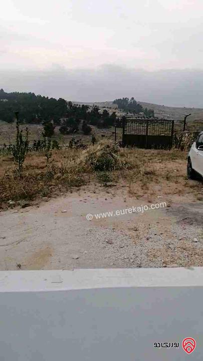 مزرعة مساحة 3400م للبيع في شرق جرش منطقة شاليهات عالية ومطلة