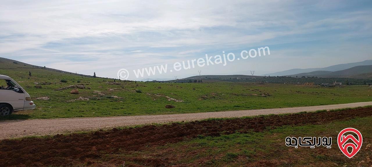 أرض زراعية مساحة 4018م للبيع في المفرق - منطقة بلعما 