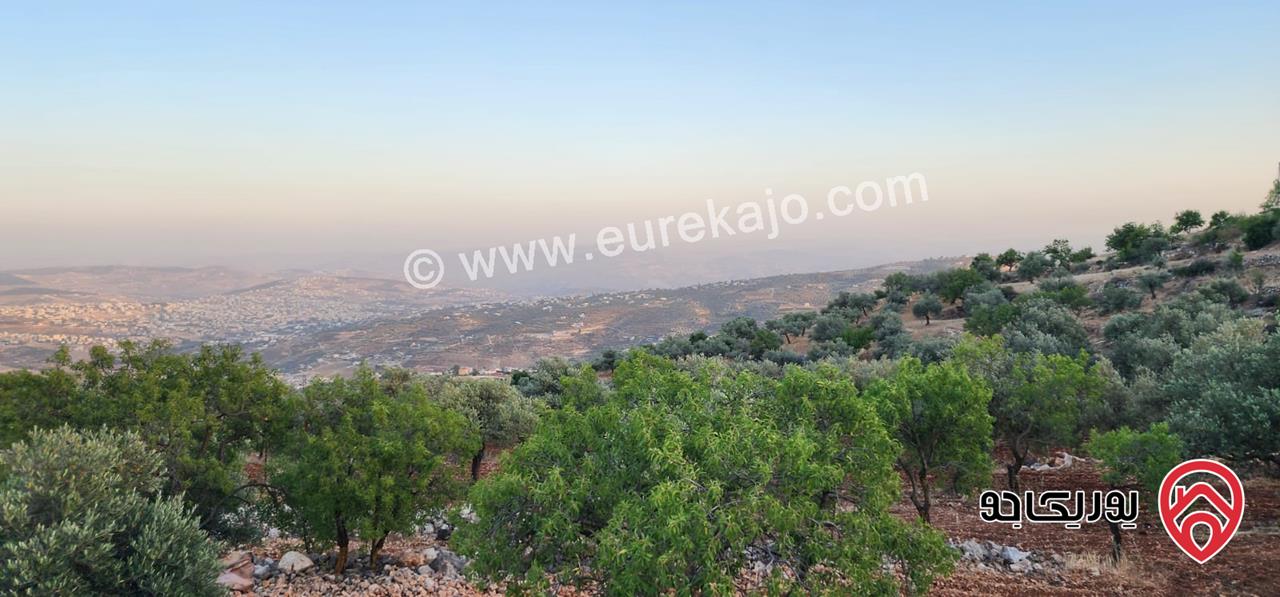 قطعة ارض مساحة 3483م للبيع في جرش - سوف بإطلالة خلابة وسط الطبيعة وهدوء الأحراش