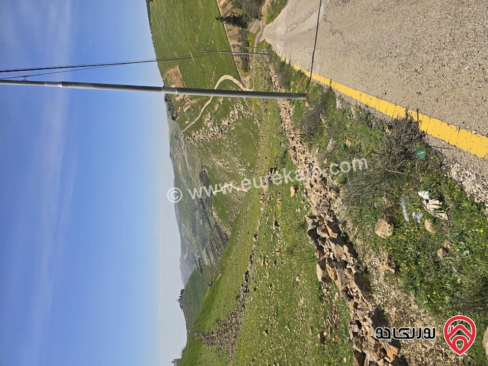 ارض مساحة 5 دونم و 24م للبيع في السلط - أبو طاره