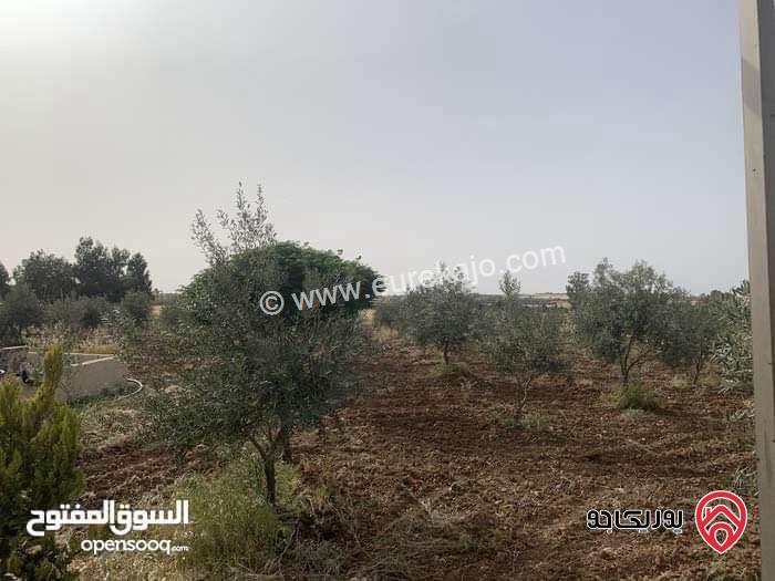 أرض مساحة 3 دونم و 500م للبيع في مادبا - جبيل الغربي