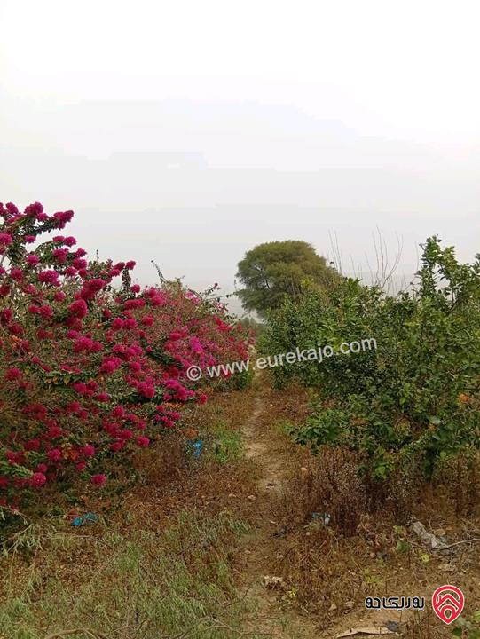 قطعة ارض مساحة 3 دونم و 400م للبيع في اربد - الأغوار الشمالية 