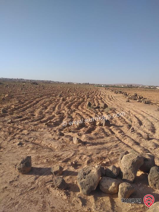  قطع اراضي مساحة 10 دونم و 655م للبيع في المفرق البادية الشمالية - المكيفته