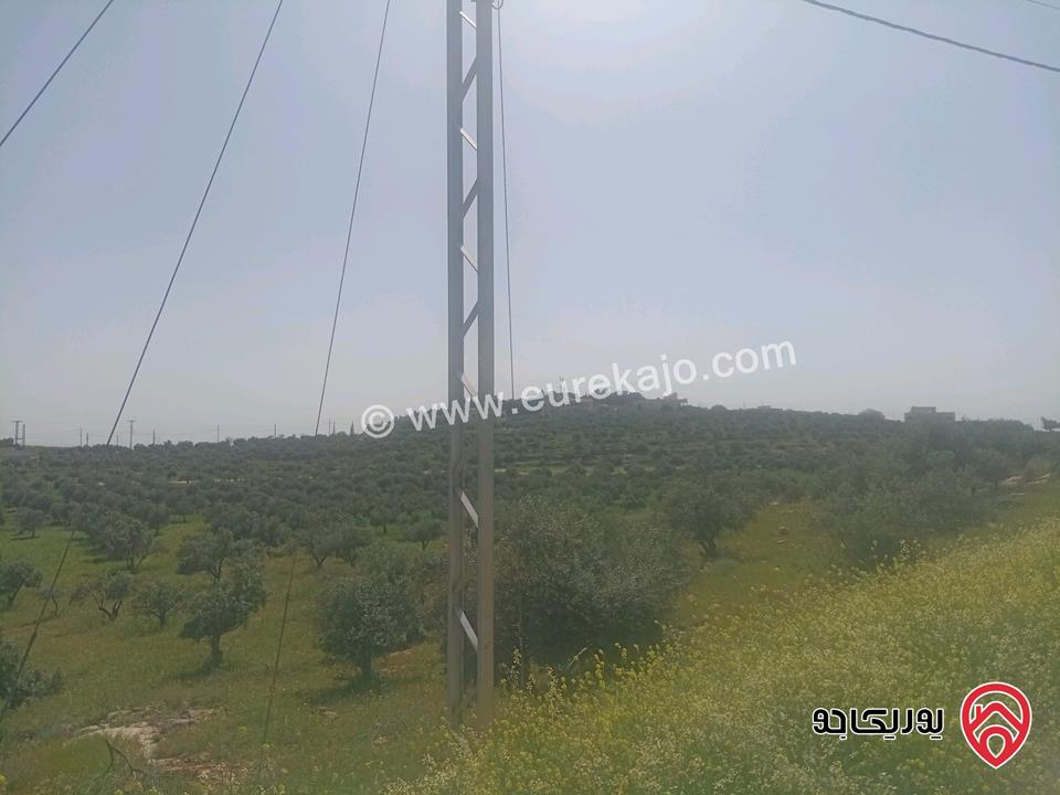 أرض مساحة 2012م للبيع في السلط الغروس سكن أخضر أطلاله جميع الخدمات واجهة كبيرة