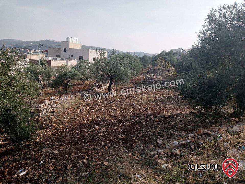 قطعة أرض مساحة 2 دونم و 225م على شارعين رئيسي وفرعي شرقي شمالي صفة التظيم سكن ج وسط للبيع في عجلون - كفرنجه
