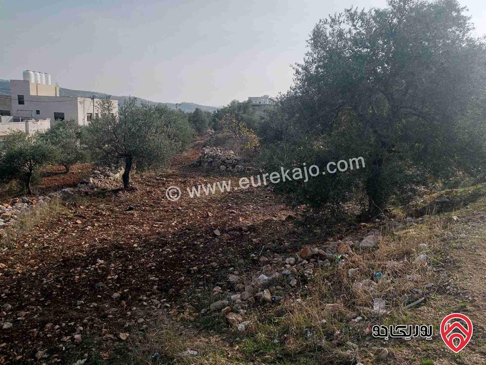 قطعة أرض مساحة 2 دونم و 225م على شارعين رئيسي وفرعي شرقي شمالي صفة التظيم سكن ج وسط للبيع في عجلون - كفرنجه