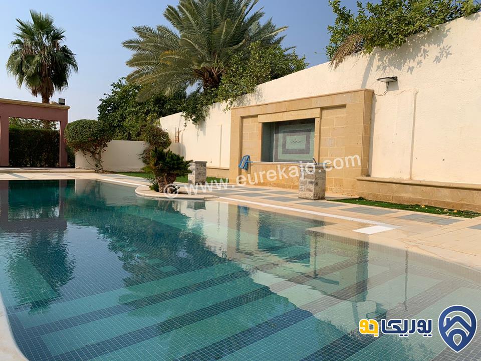  palms farm مزرعة مميزة للإيجار في البحر الميت 