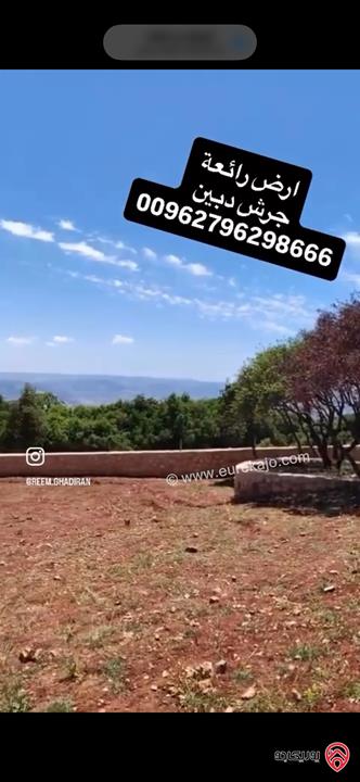 قطعة ارض مميزة مساحة 1 دونم للبيع في جرش - دبين
