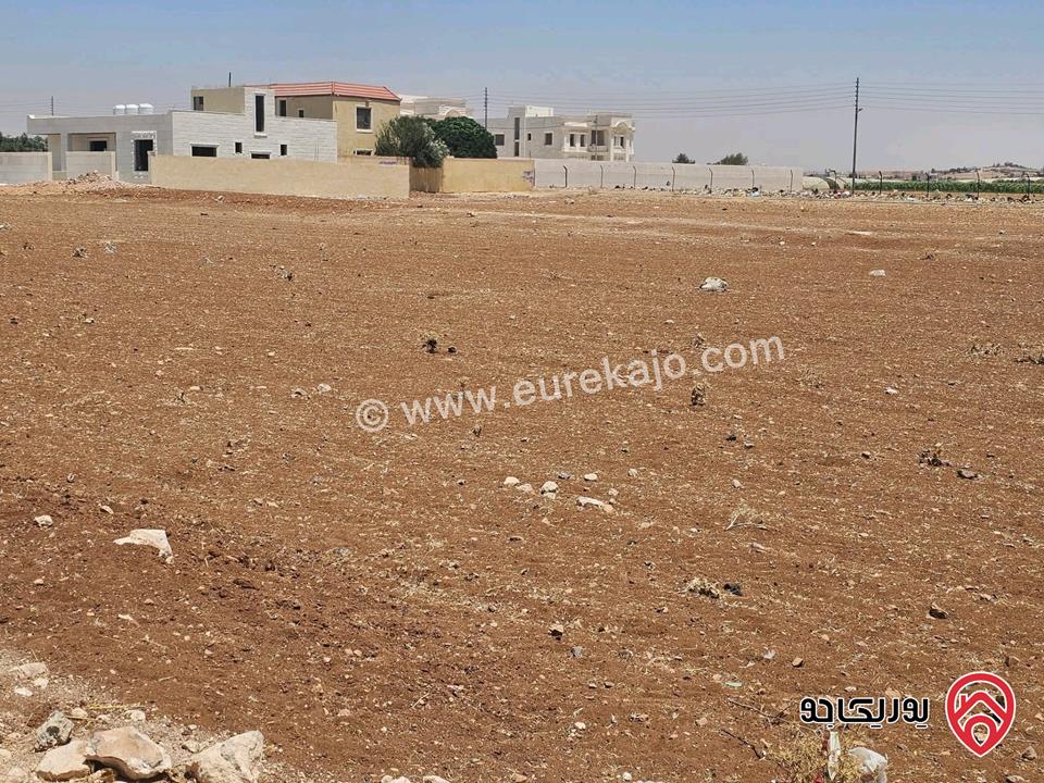 قطعتين ارض متلاصقات المساحة لكل قطعة 500م للبيع في عمان - اليادودة