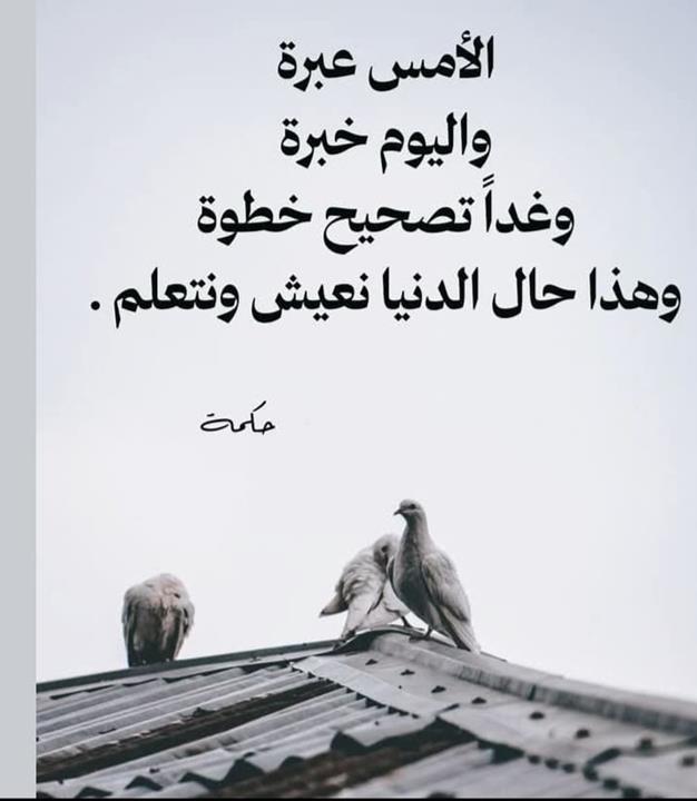 ahmed altmimi