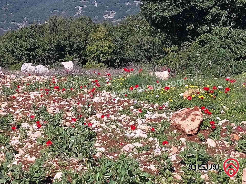 ارض للبيع مساحة 742م في اربد حواره حوض الزعر