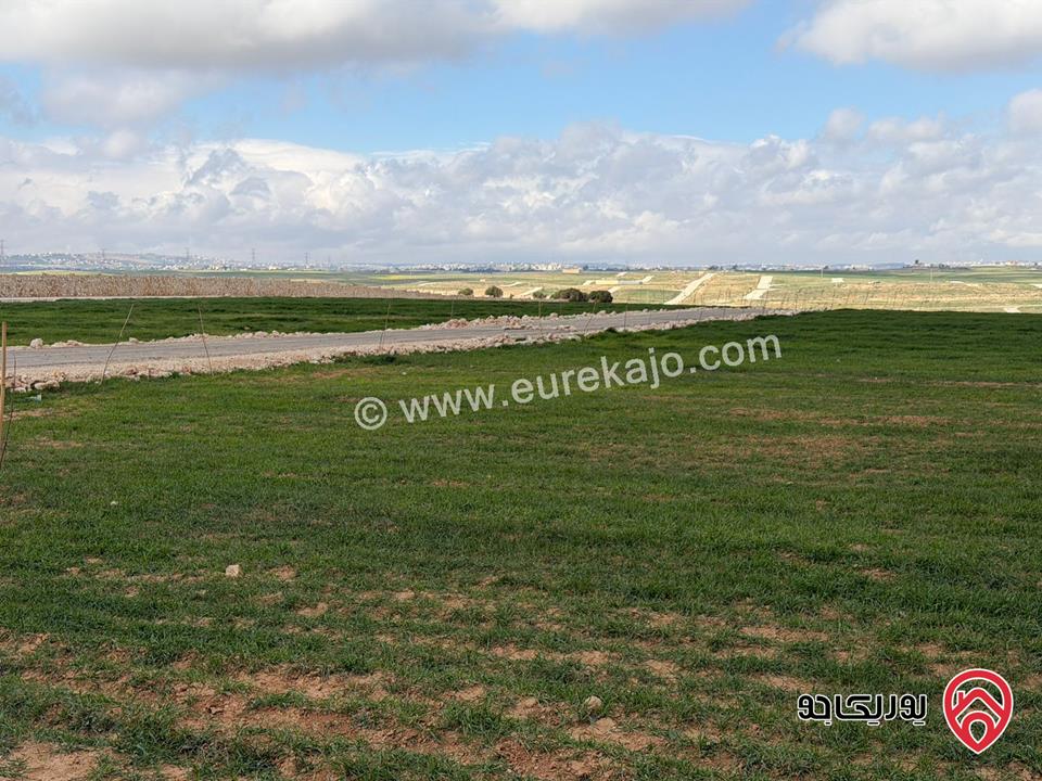 اراضي سكنية مساحة 1 دونم و 700م للبيع في عمان - مقابل مطار الملكة علياء من المالك مباشرة 