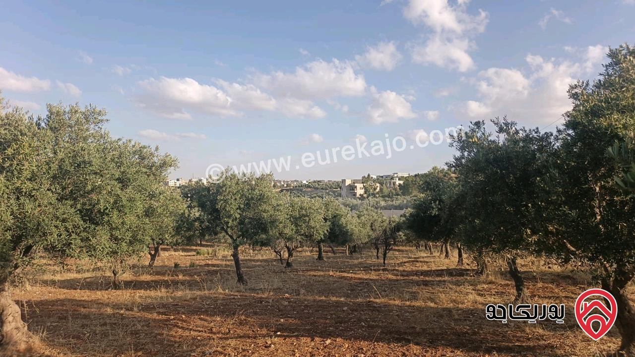 قطع اراضي سكنية مساحة 750م للبيع في عمان - ناعور من ضمن مشروع ابو الغزلان 3 