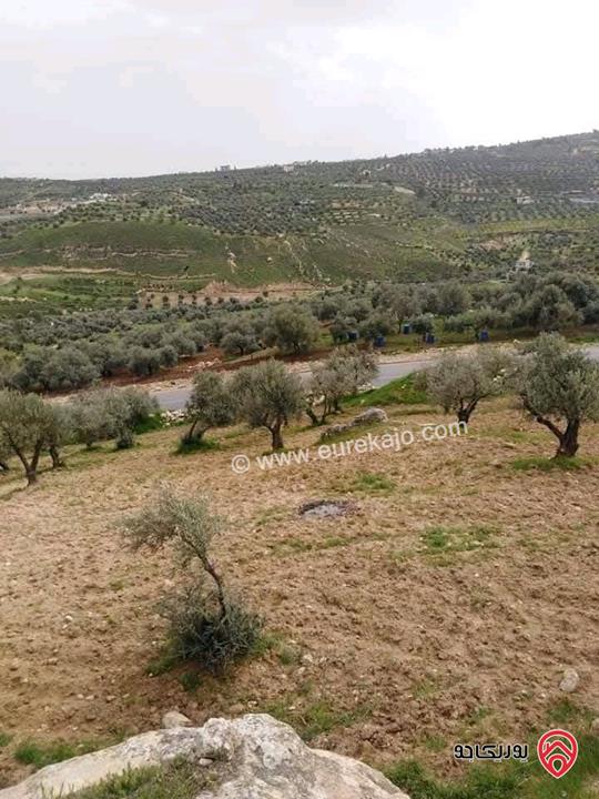 قطعة ارض مميزة مساحة 4 دونم و 390م للبيع في جرش /المقبلة 