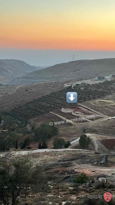 أرض مساحة 5 دونم و 437م للبيع من أراضي بدر الجديدة 