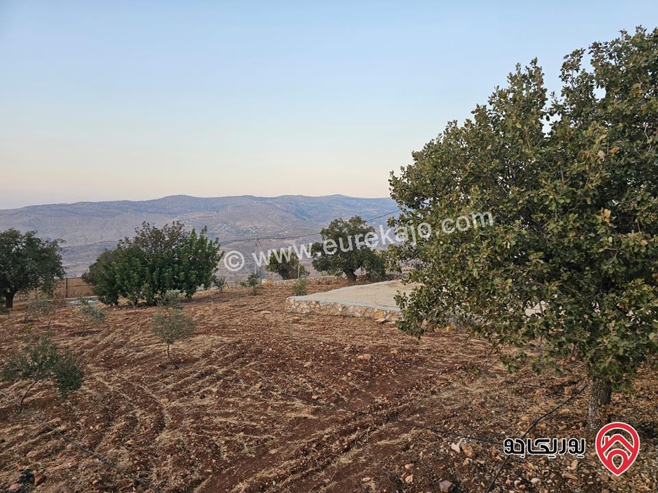 مزرعة ريفية مساحة الأرض 3 دونم و 500م والبناء 130م للبيع في السلط - الصبيحي